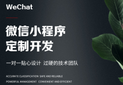 微信小程序开发定制app公众号商城会员管理积分查询软件系统制